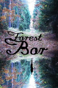 Forest Bor