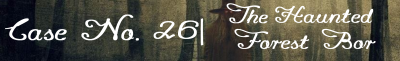 26.png
