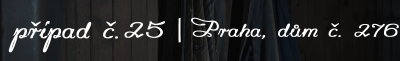 25.png