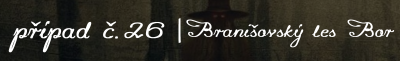 26.png